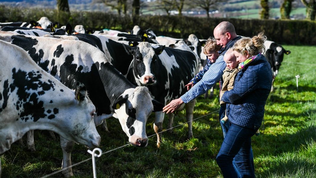 Creating a real future for rural Britain