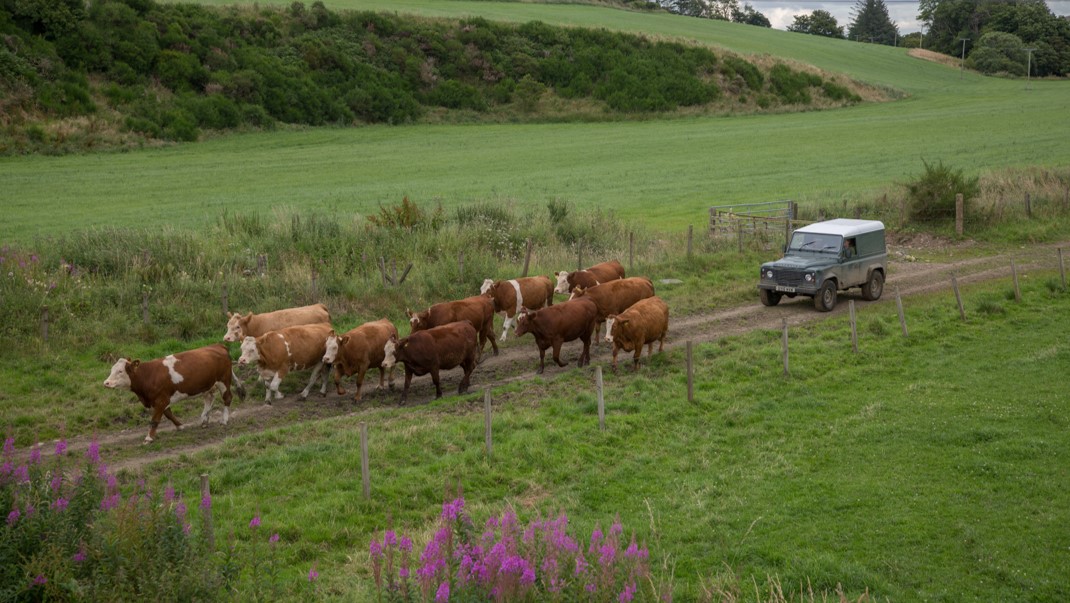 Farm Resilience Network