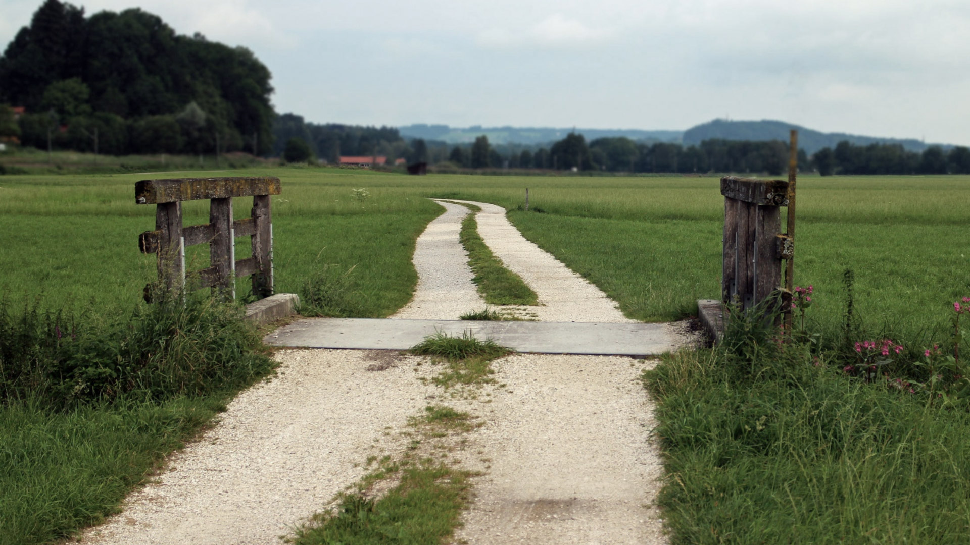 Is there a future for the small family farm?