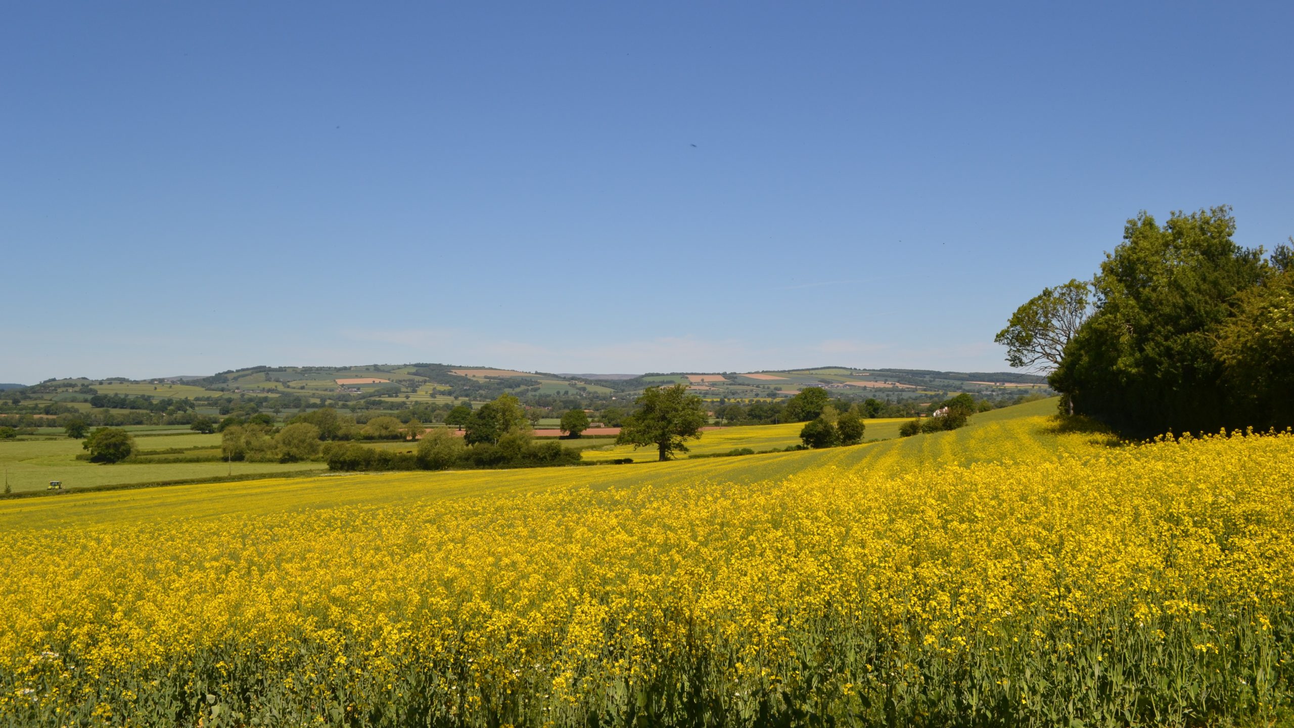 Remember the countryside in your will