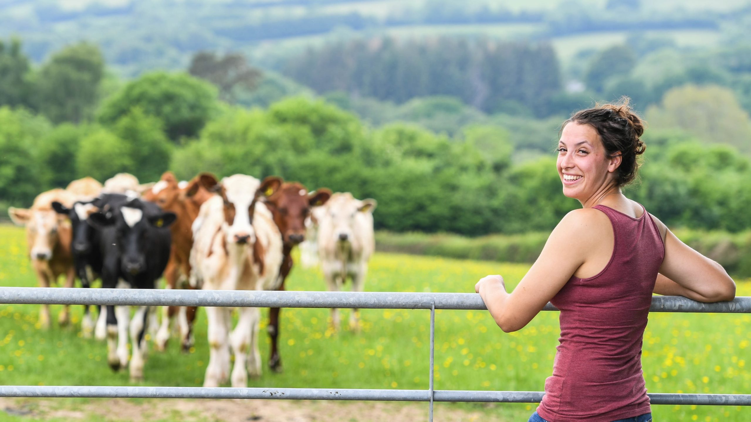 Friends of the Countryside