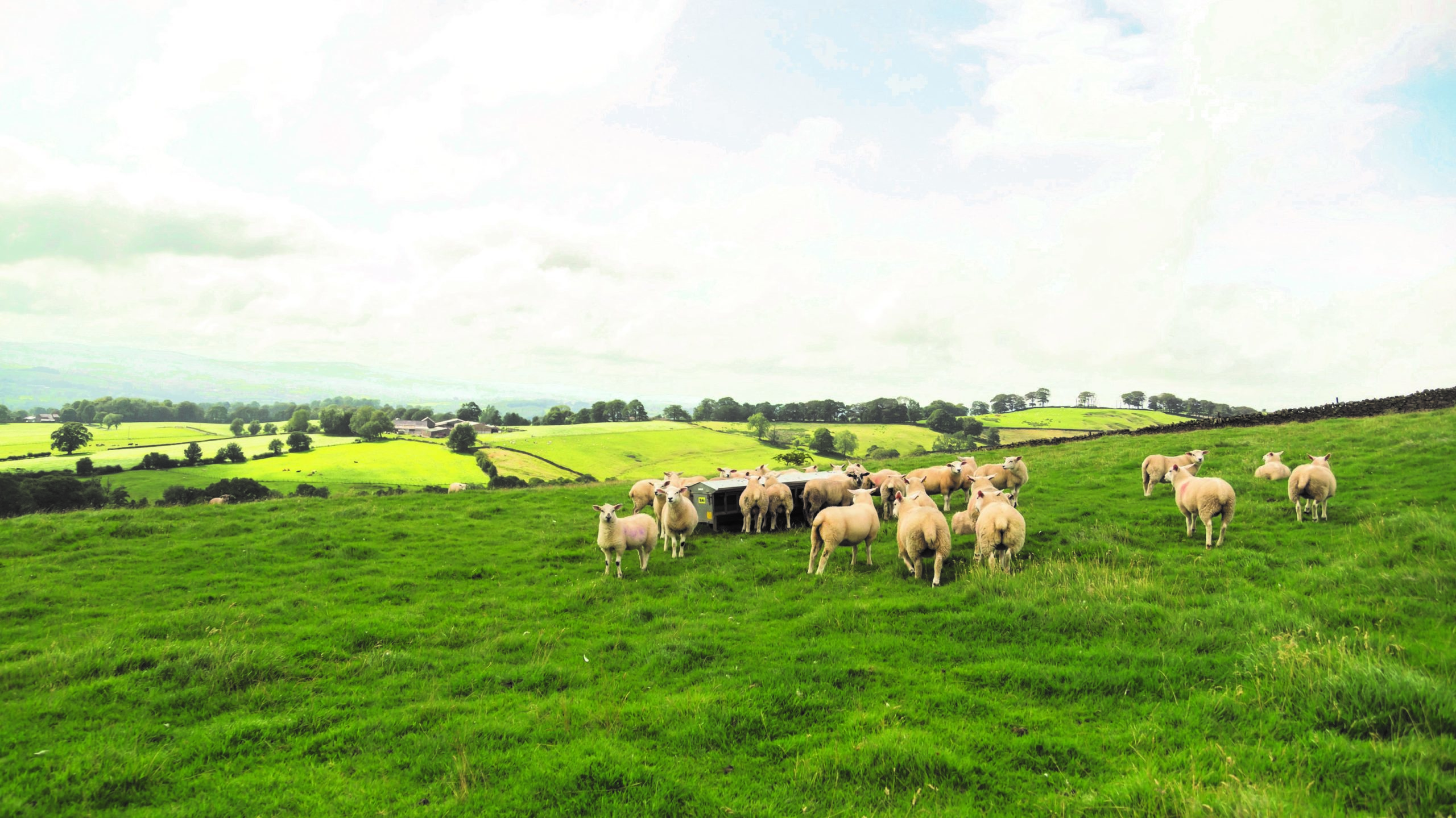 Evaluation of the Farm Resilience Programme