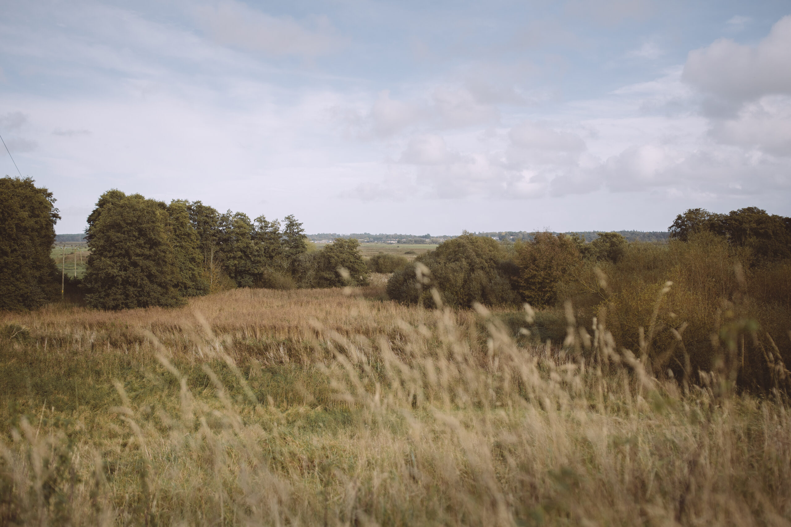 Biodiversity on Your Farm
