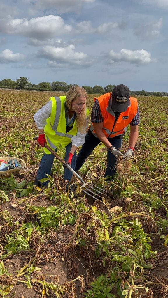Clemmie from the RCF digging potatoes